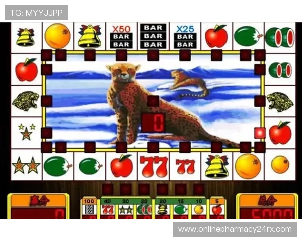 老虎机国际入口24小时在线客服，提供贴心专业的游戏支持服务